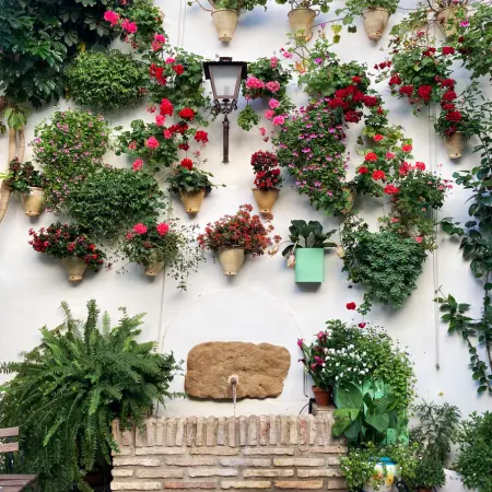 Kordoba_wycieczki_kameralne_z_Malagi_CostaTrips (3)