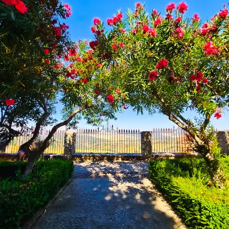 Wycieczka_do_Rondy_i_Setenil_z_costatrips (3)